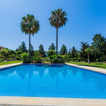 Casa Colina Villa Albufeira Kültér fotó
